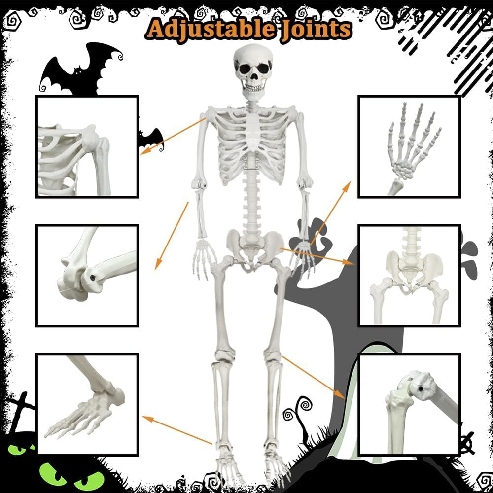 5.9Ft Halloween Life Size Skeleton with Cat for Halloween Party Decor