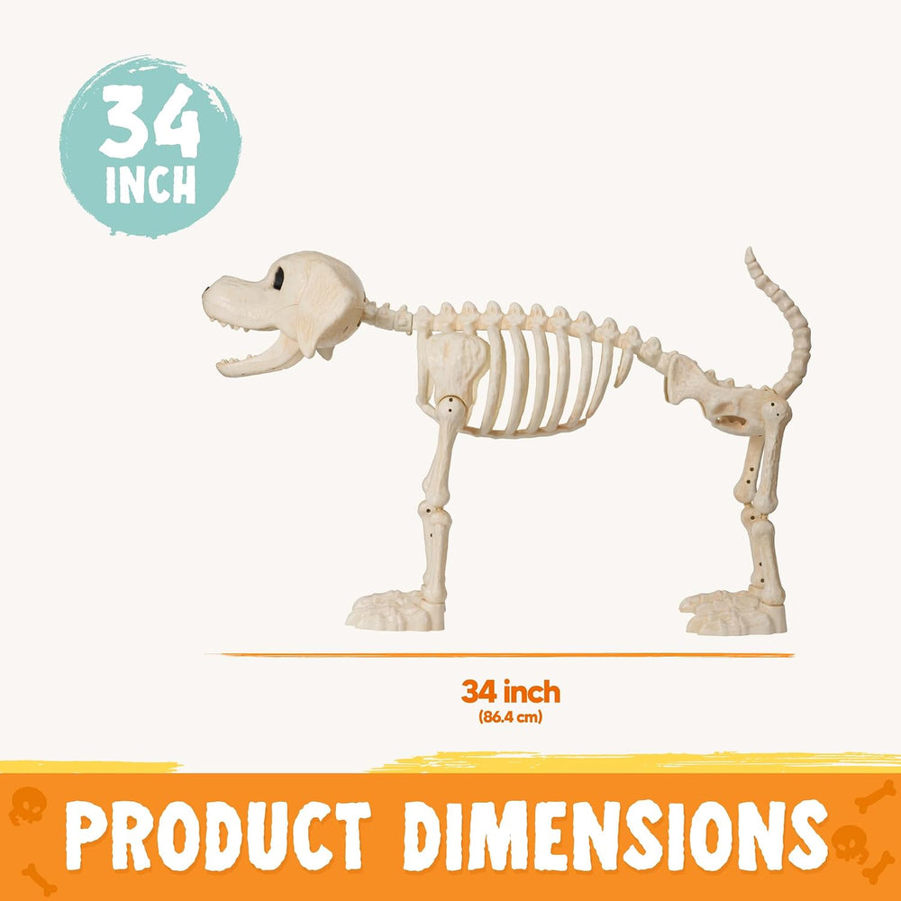 JOYIN Halloween Golden Retriever Skeleton 34” Animal Dog Plastic Skeleton wit...