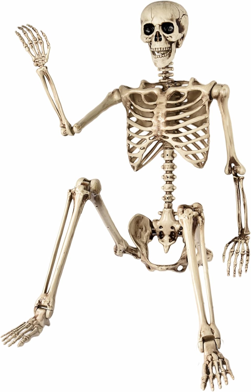 Aimeiar 5.4 Ft Halloween Skeleton Life Size, Posable Skeletons Decor, Full Bo...