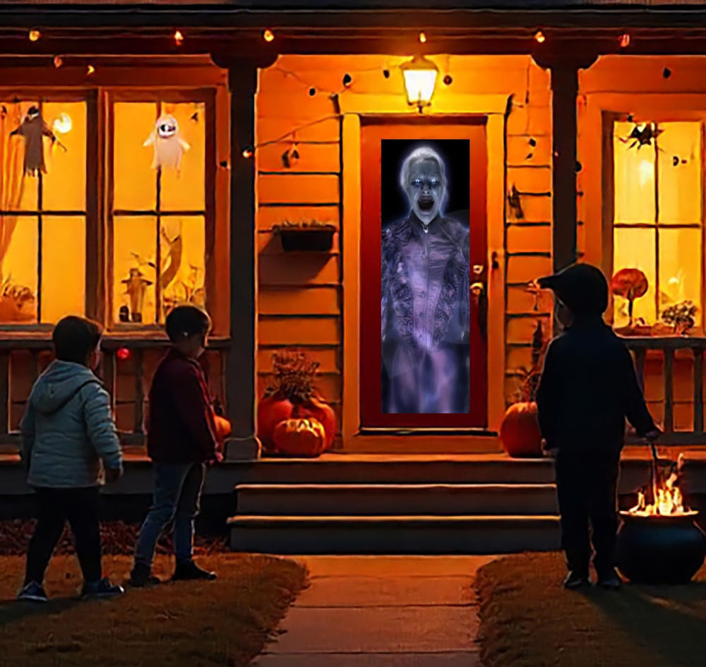 36" x 80" Gray Door Holographic Rear Projection Screen with Mountin...