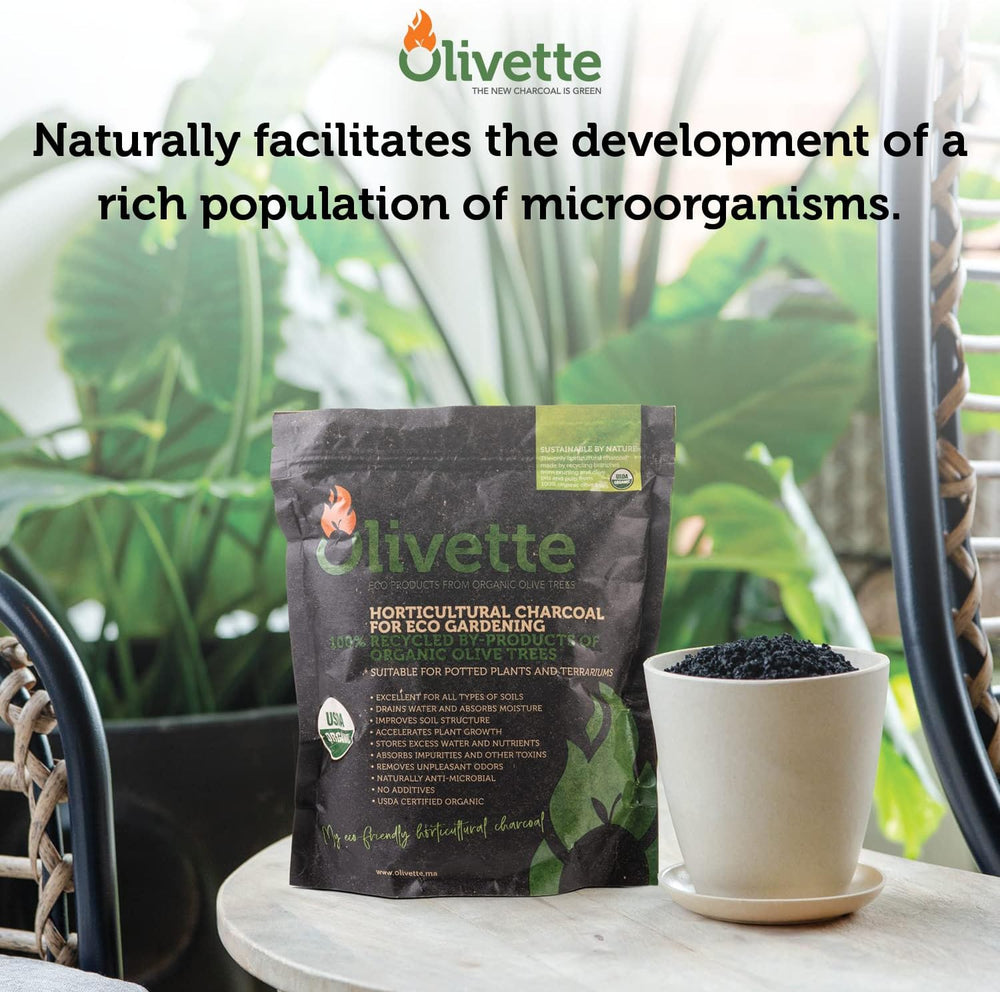 OLIVETTE Organic Biochar Activated Charcoal for Plants, 3 Bags