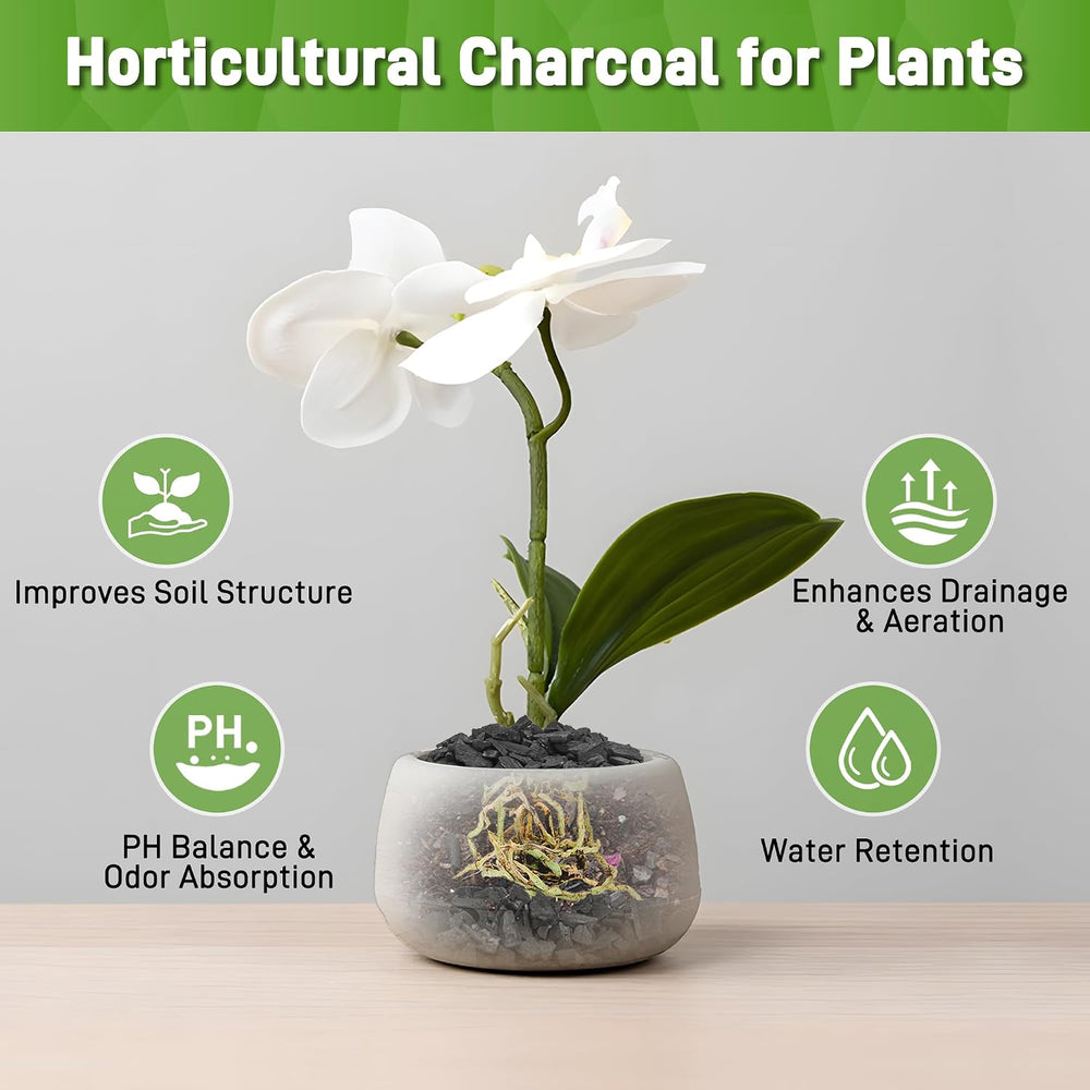 9QT Horticultural Charcoal for Plants