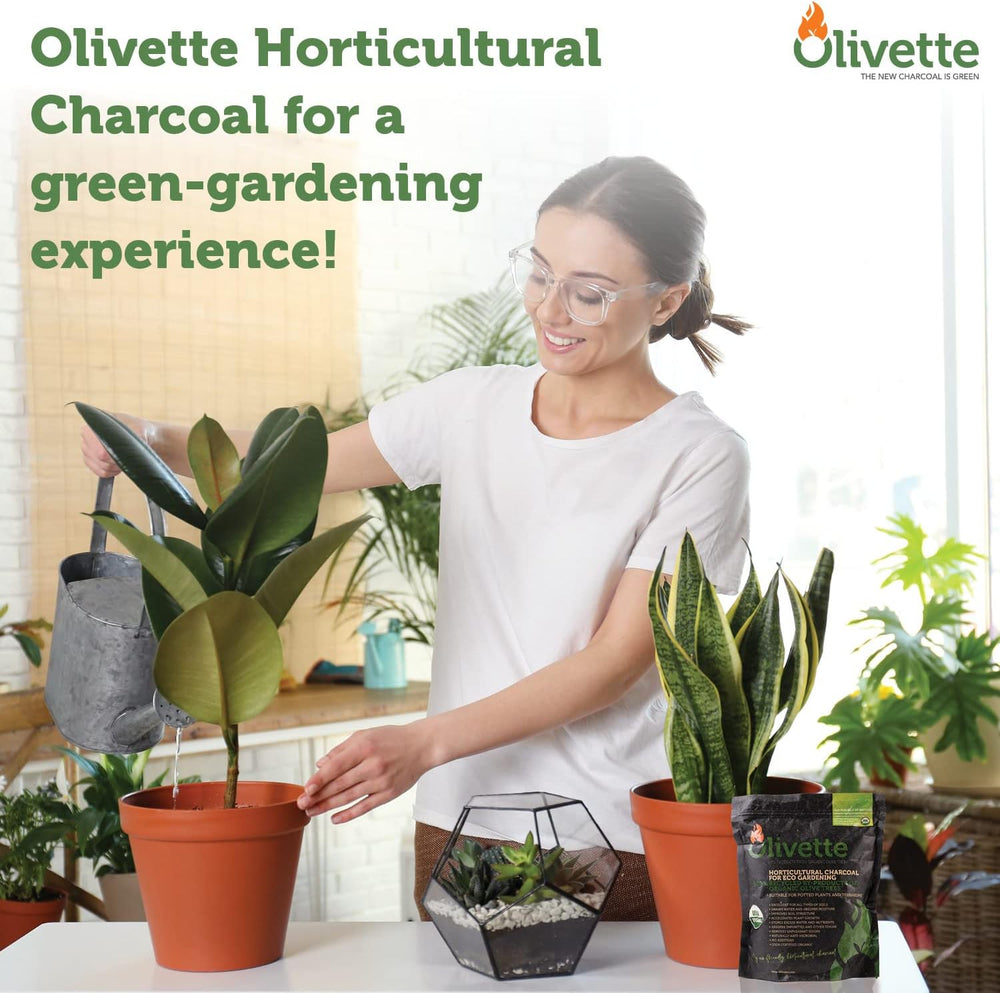 OLIVETTE Organic Biochar Activated Charcoal for Plants, 3 Bags