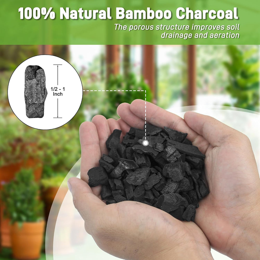9QT Horticultural Charcoal for Plants