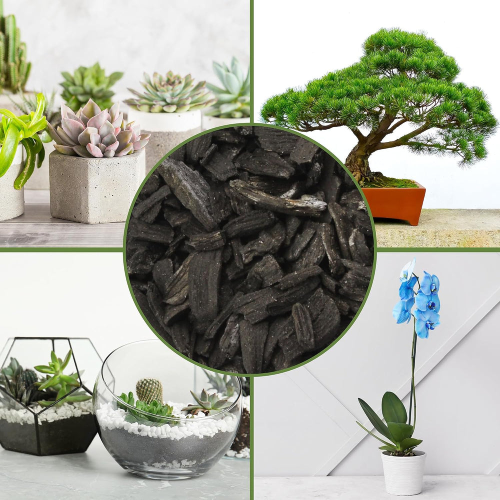 Soil Sunrise Horticultural Charcoal for Indoor Plants (12 Quarts) Hardwood So...