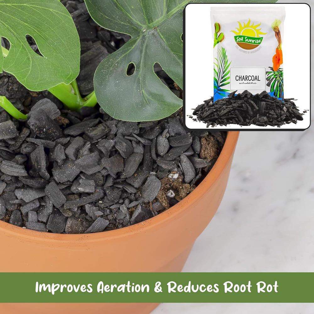 Soil Sunrise Horticultural Charcoal for Indoor Plants (12 Quarts) Hardwood So...