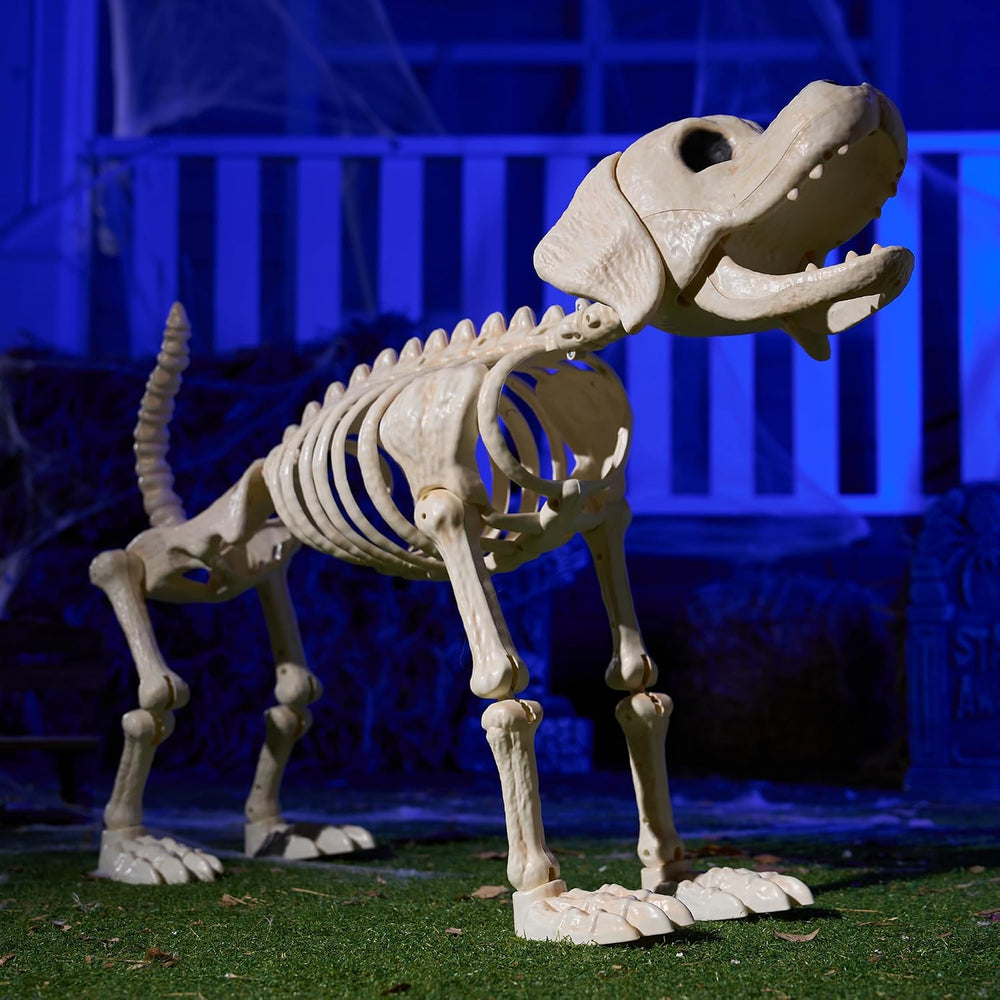 JOYIN Halloween Golden Retriever Skeleton 34” Animal Dog Plastic Skeleton wit...
