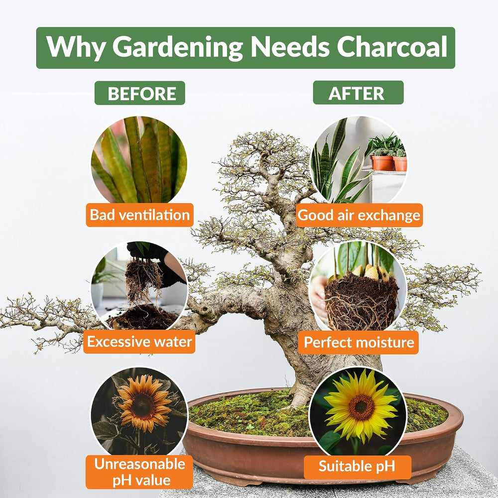 Old Potters Premium Horticultural Charcoal Chips, Natural Soil Amendment for ...