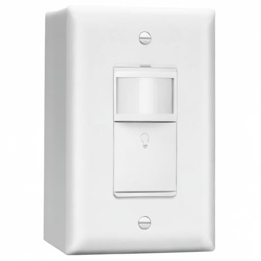 LIDER Motion Sensor Switch (2-Pack)