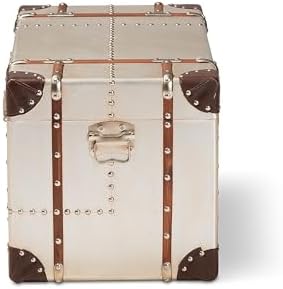Baxton Studio Bechet Storage Trunk, Silver