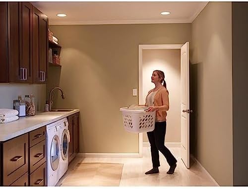 Lutron Maestro Motion Sensor Light Switch Indoor