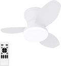 Glowall Small Ceiling Fan with Lights, 25 Inch Flush Mount with Remote Control