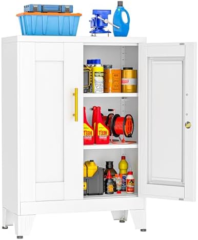 Small Locking Cabinet, Metal Storage Cabinet with Doors and 2 Shelves