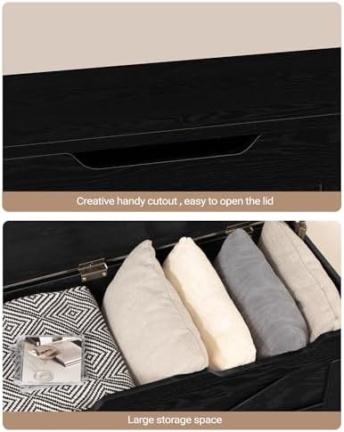 Hzuaneri 39" Modern Storage Chest | 50 Gal | 330lb Seat | Black