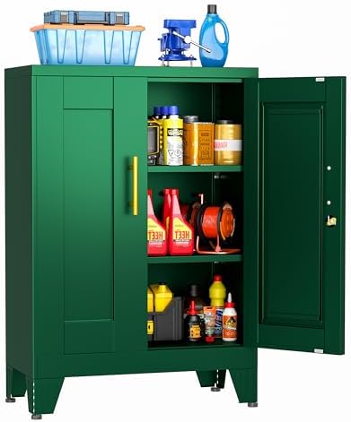 Small Locking Cabinet, Metal Storage Cabinet with Doors and 2 Shelves
