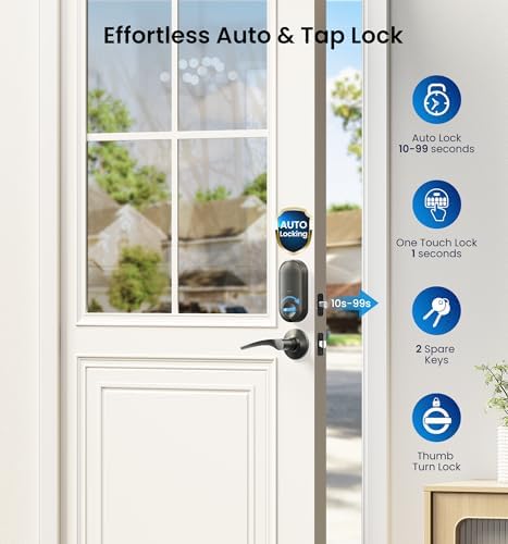 Veise RZ-C Keyless Entry Door Lock with 2 Lever Handles, Matte Black