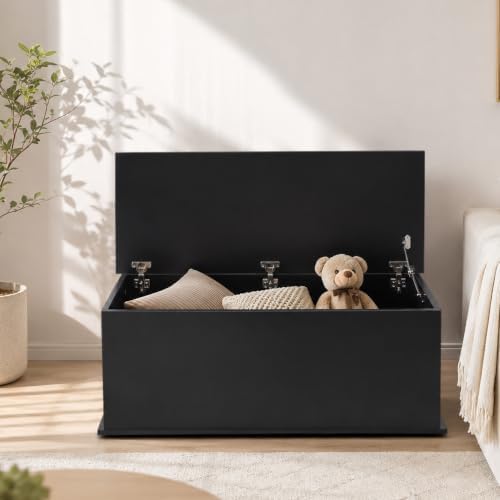 HOMCOM 39.4" Modern Storage Chest, Lift Top Storage Bench, Black