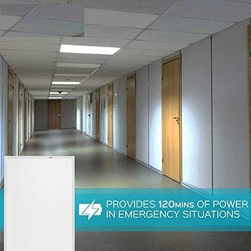 LED ENERGY PLUS 2X4 LED Flat Panel Light (2 Pack)