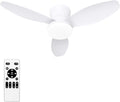Glowall Small Ceiling Fan with Lights, 32 Inch Flush Mount with Remote Control
