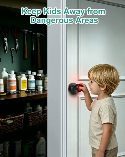 Fingerprint Door Knob Lock for Bedroom with App and Backup Keys
