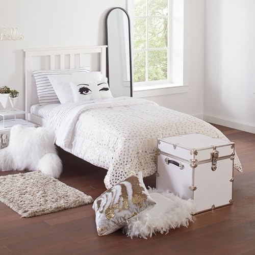Rhino Classic Cube Trunk, College Dorm Footlocker & Home Storage End Table