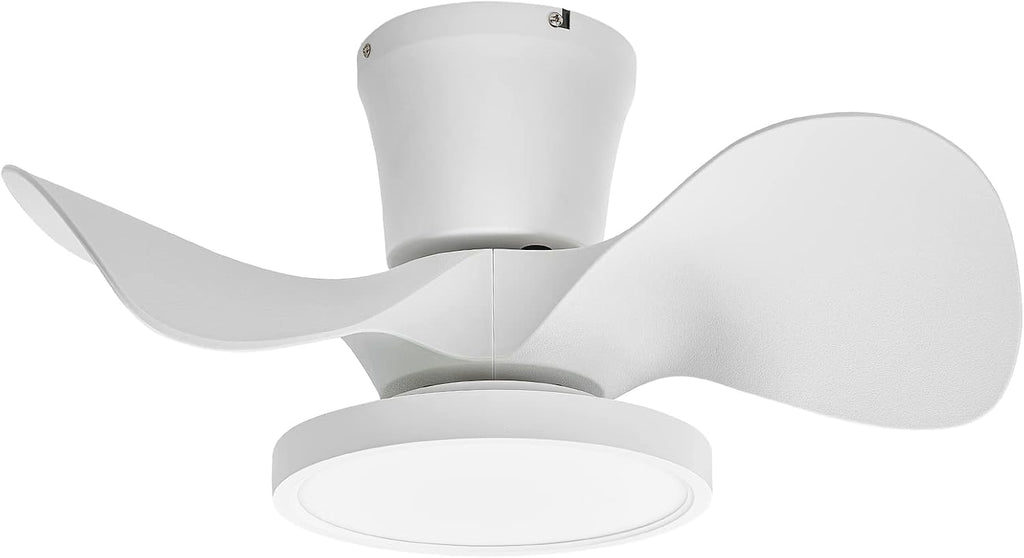 ocioc Quiet Ceiling Fan with LED Light 22 inch Large Air Volume Remote Control
