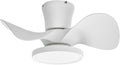 ocioc Quiet Ceiling Fan with LED Light 22 inch Large Air Volume Remote Control