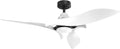 AEROFANTURE 54 Inch White Ceiling Fan, Quiet DC Motor