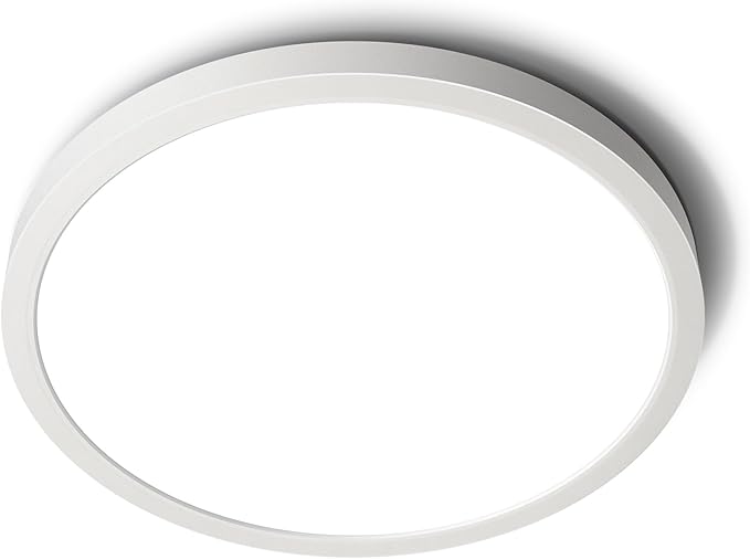 SunRider LED Flush Mount Ceiling Light Fixture, 6000K Cool White, 12 Inch 24W