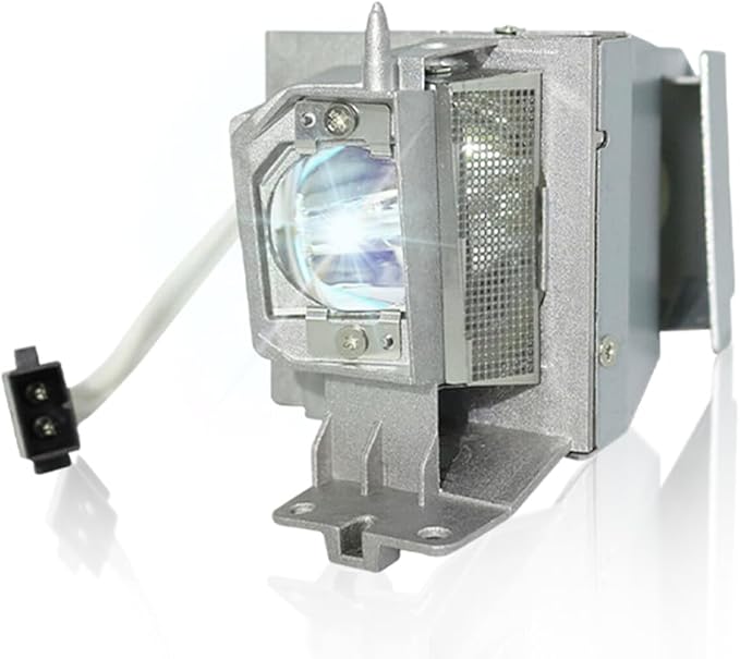 SORNEICDR Replacement Projector Lamp Bulb