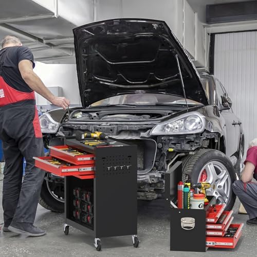 Rolling Tool Box with Wheels, 8-Drawer High Capacity Tool Chest with Wheels, Removable Storage Toolbox with Lock for Garage, Workshop (BlackRed)