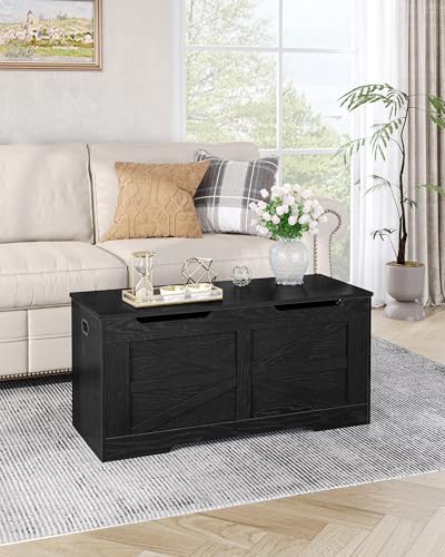 Hzuaneri 39" Modern Storage Chest | 50 Gal | 330lb Seat | Black