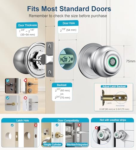 Fingerprint Door Lock, Smart Fingerprint Door Knob with Lock, Silver