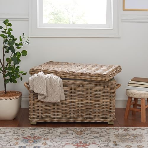 SAFAVIEH Salim Trunk Rattan Storage Cabinet, 18.7" Coastal Grey SEA7019A