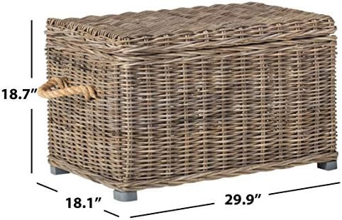 SAFAVIEH Salim Trunk Rattan Storage Cabinet, 18.7" Coastal Grey SEA7019A