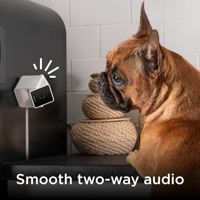 Petcube Cam Pack of 3 Indoor Home Security Cameras