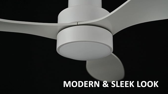SMAAIR 52 Inch Ceiling Fan
