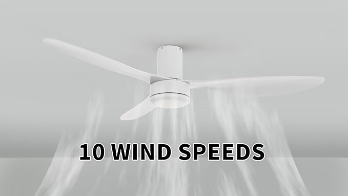 SMAAIR 52 Inch Ceiling Fan No Light