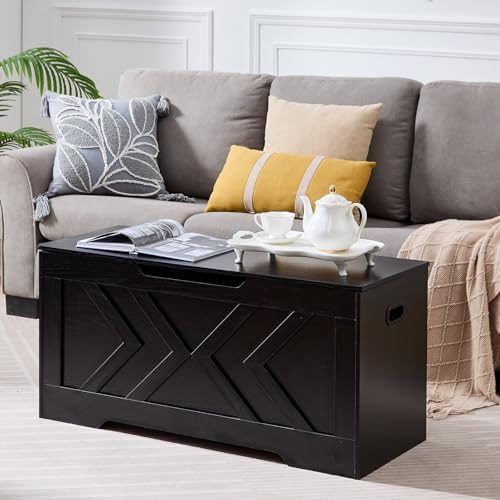 39.4” Storage Bench, Extra Large Entryway Bench with Storage,Storage Chest with 2 Safety Hinges,Blanket Storage,Shoe Storage Chest for Bedroom,Living Room,Easy Assembly. (Black)
