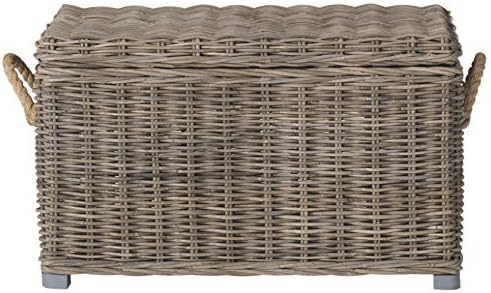 SAFAVIEH Salim Trunk Rattan Storage Cabinet, 18.7" Coastal Grey SEA7019A