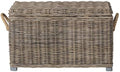 SAFAVIEH Salim Trunk Rattan Storage Cabinet, 18.7" Coastal Grey SEA7019A