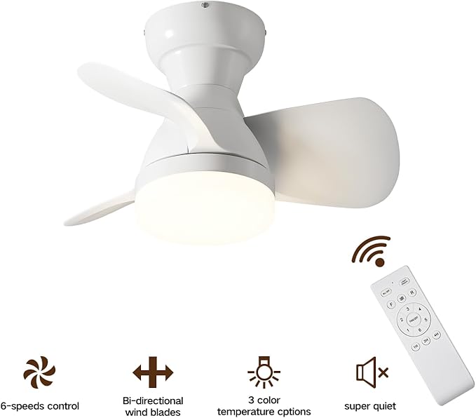 Myleoron 20 Inch Ceiling Fan