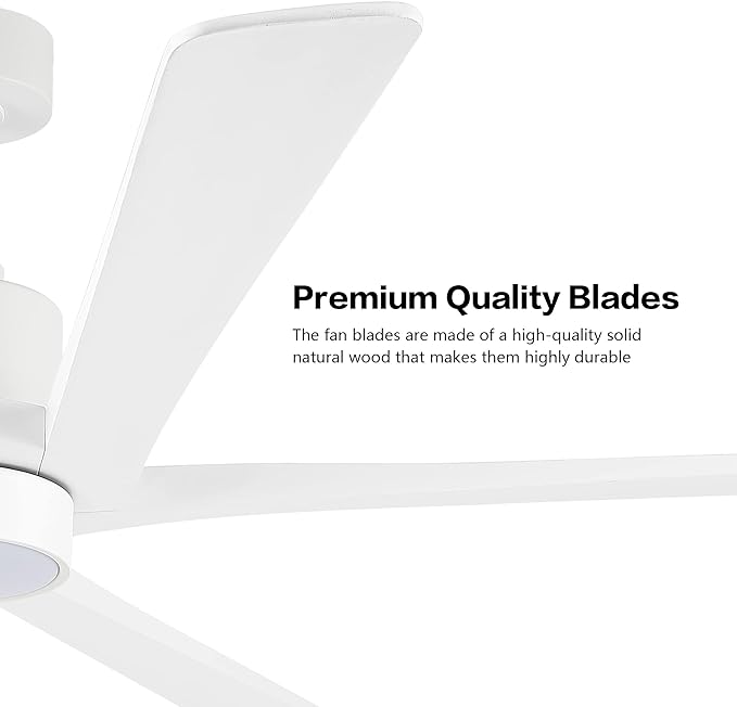 WINGBO 54" DC Ceiling Fan with Lights and Remote Control, 5 Carved Wood Blades