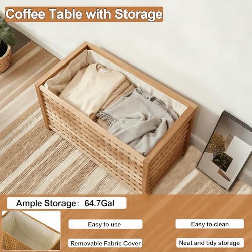 Solid Wood Entryway Bench with Storage, storage chest with Removable Bag