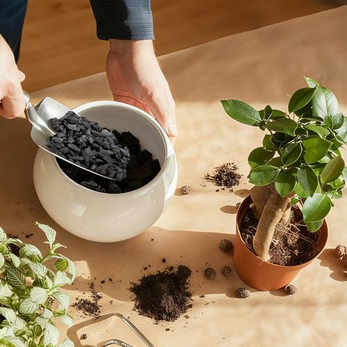 9QT Horticultural Charcoal for Plants