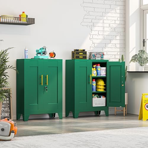 Small Locking Cabinet, Metal Storage Cabinet with Doors and 2 Shelves