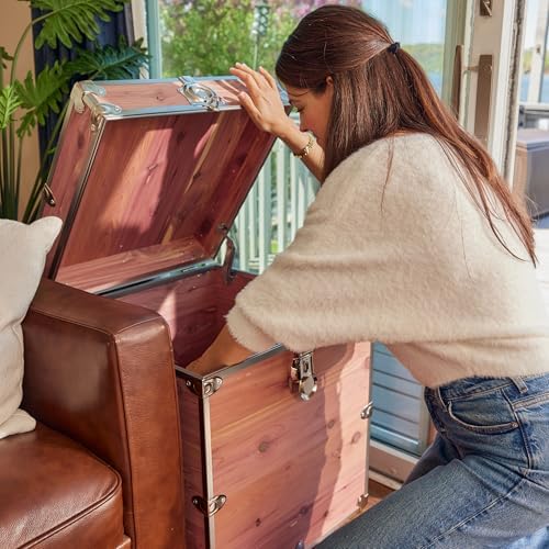 Rhino Knotty Cedar Cube Chest, End Table Storage Trunk, Bench