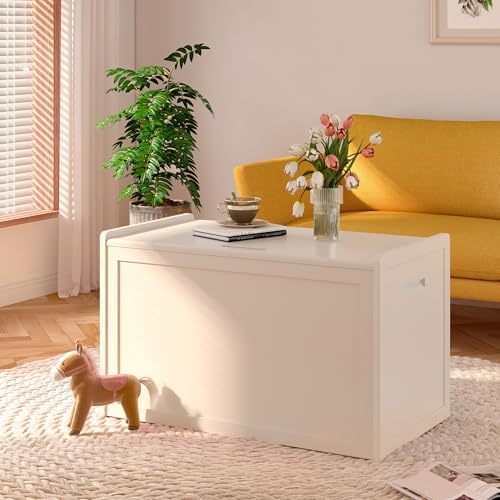 Storage Chest, Entryway Storage Bench with 2 Safety Hinges, Storage Trunk with Flip-Top, Chest Box Organizer for Entryway, Bedroom, Living Room, Easy Assembly, White