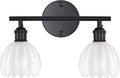 Shenmoyl Bathroom Light Fixtures, 2-Light Black Vanity Wall Light Over Mirror