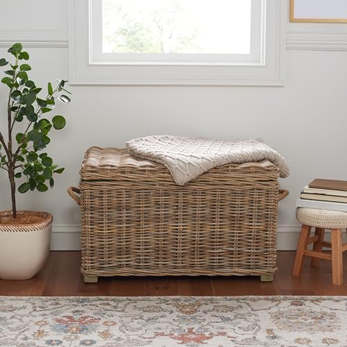 SAFAVIEH Salim Trunk Rattan Storage Cabinet, 18.7" Coastal Grey SEA7019A